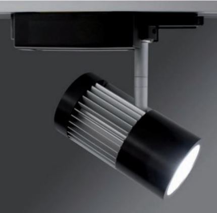 Molto luce  906-4324096 S W3[Mol] 