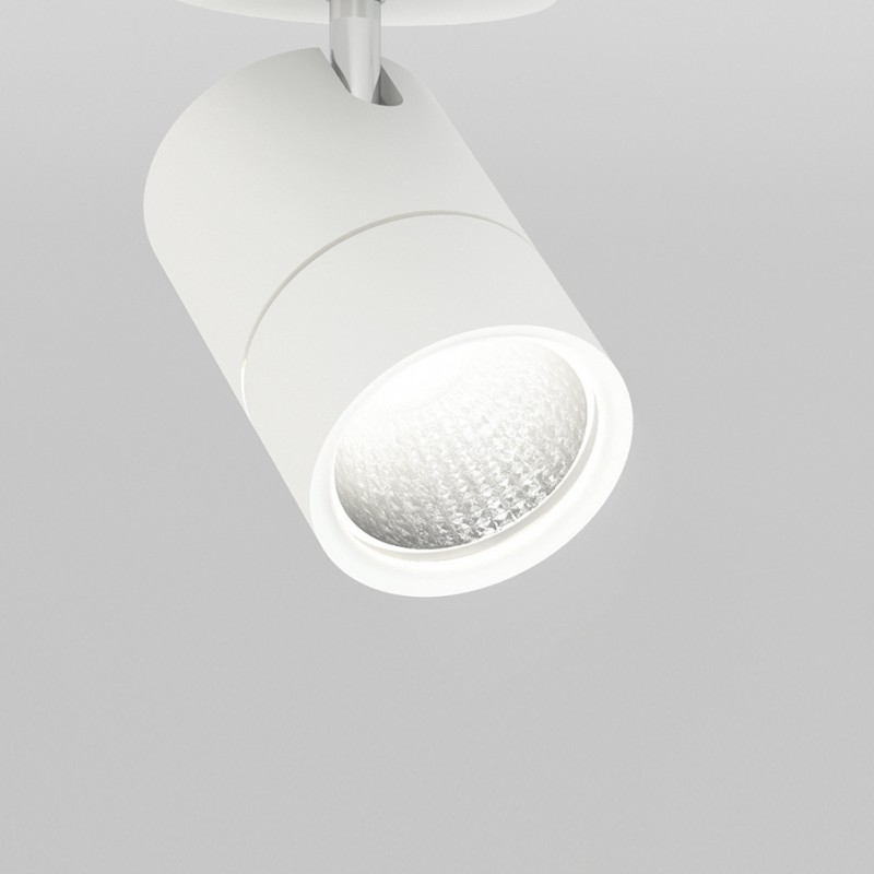 Molto luce  599-21401595[Mol] 