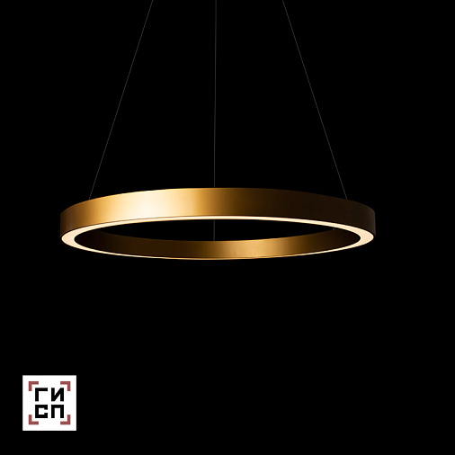 LED светильник подвесной  кольцо