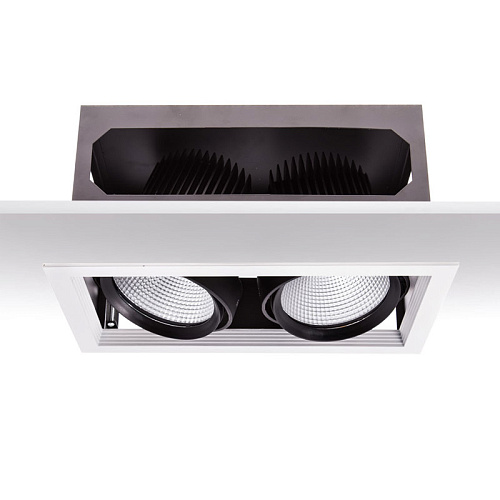 ART-E-186 х2 LED светильник встраиваемый карданный  Downlight   -  Встраиваемые светильники 