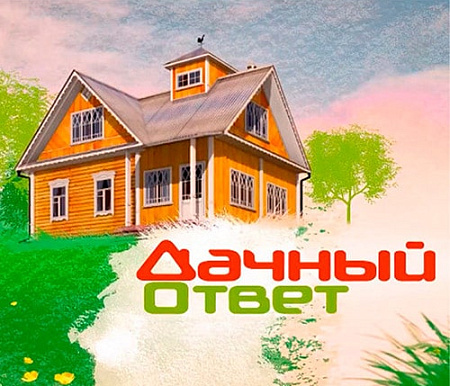 «Дачный ответ.НТВ»: проект студии дизайна и архитектуры BALKA.STUDIO
